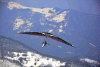 deltaplano in volo sulle Alpi Marittime, repertorio trofeo Malanotte